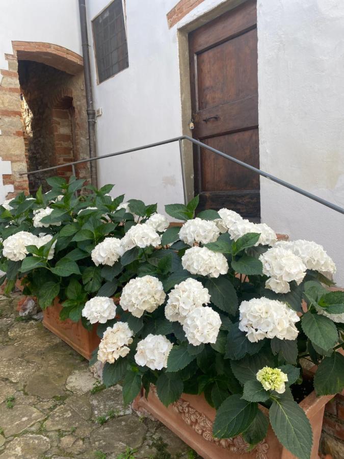 Gavene Otel Villamagna  Dış mekan fotoğraf